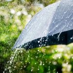 rainfall 3